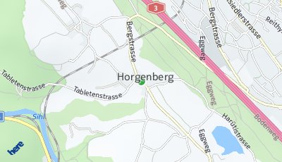 Standort Horgenberg (ZH)